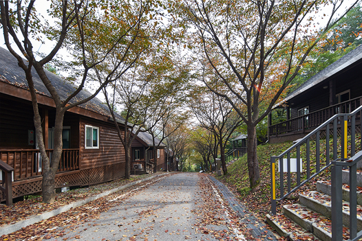 연인산캠핑장 전경