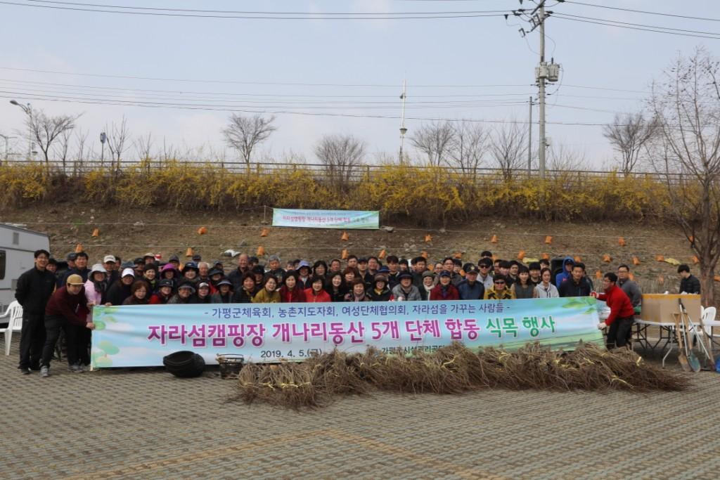  공단, 4개 단체와 봄을 심다 열린 혁신 경영 일환으로 자라섬에 개나리 식재  이미지