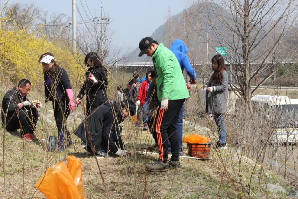 공단, 4개 단체와 봄을 심다 열린 혁신 경영 일환으로 자라섬에 개나리 식재  세번째 이미지